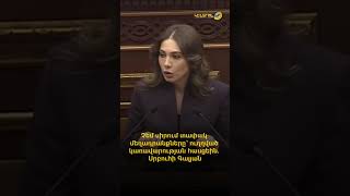 Չեմ սիրում տափակ մեղադրանքները՝ ուղղված կառավարության հասցեին. Սրբուհի Գալյան