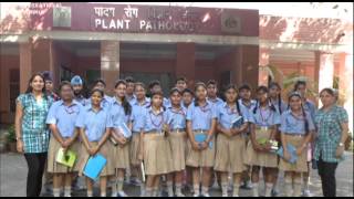 Delhi International Public School Video