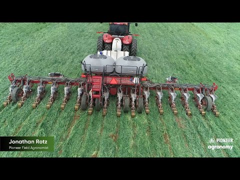 Recommendations for Planting Into Cover Crops