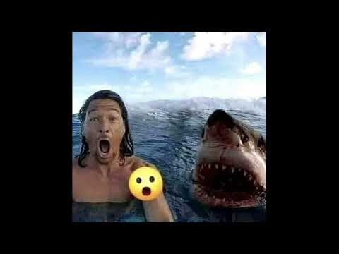 cem belevi - aç kollarını ( slowed + reverb)