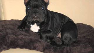 mark selby deep pocket