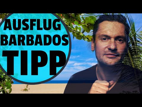 BARBADOS AUSFLUG - STRAND AUF EIGENE FAUST - MEIN SCHIFF
