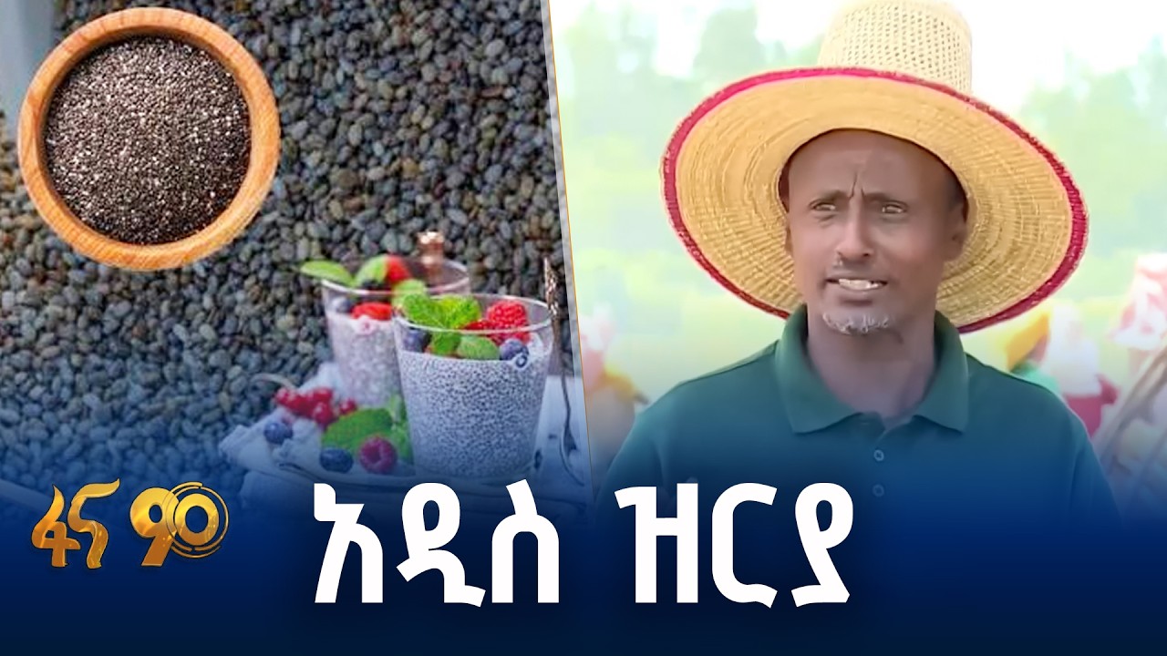 በዓመት ሦስቴ ምርት ይሰበሰባል