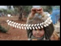 El IES la Sisla canta por Siria (feb 17)