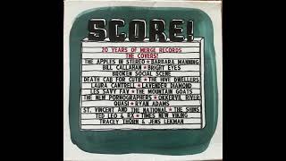 The Apples In Stereo- King Of Carrot Flowers Pt.3