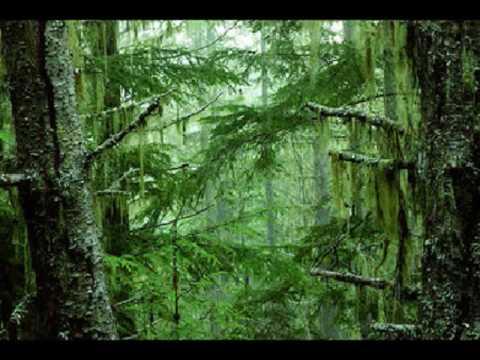 download lagu mp3 mp4 Amazonia De Roberto Carlos, download lagu Amazonia De Roberto Carlos gratis, unduh video klip Amazonia De Roberto Carlos