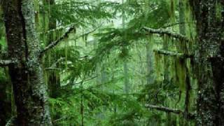 AMAZONIA  ROBERTO CARLOS