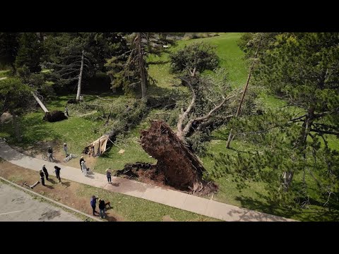 Press Conference - Emergency Update on Hurricane-Force Winds from Liberty Park - September 9, 2020