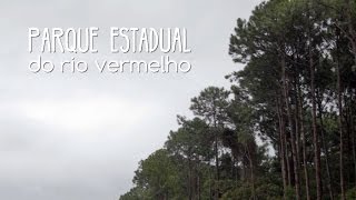 Miniatura do vídeo