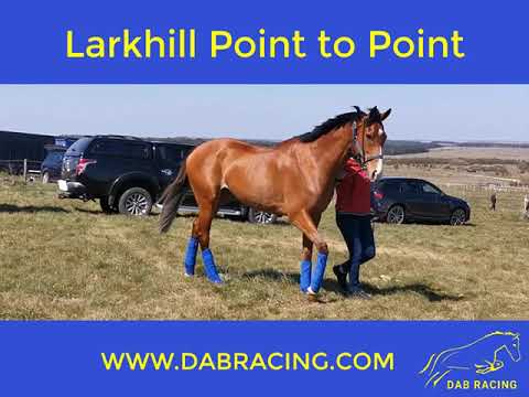 DAB RACING P2P RACEHORSE TRAINER CROPREDY OXFORSHIRE