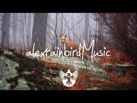 Jack The Fox - Brother