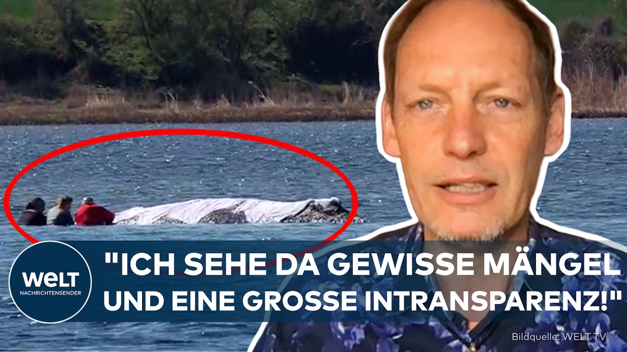 WAL-DRAMA: "Das kann man durchaus besser machen!" Experte kritisiert mangelnde Untersuchungen!