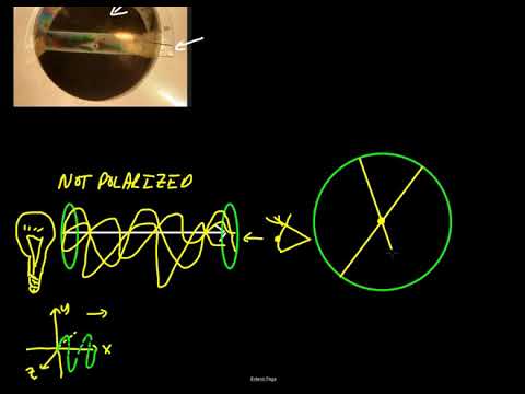 Malus Law and Polarization