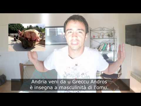 Etinomi - 6 - Andria