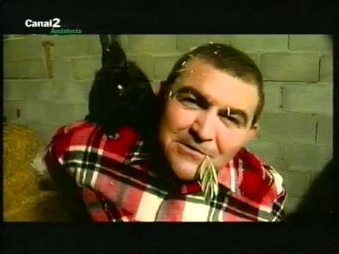 El Koala - Opa Yo Viaze Un Corra