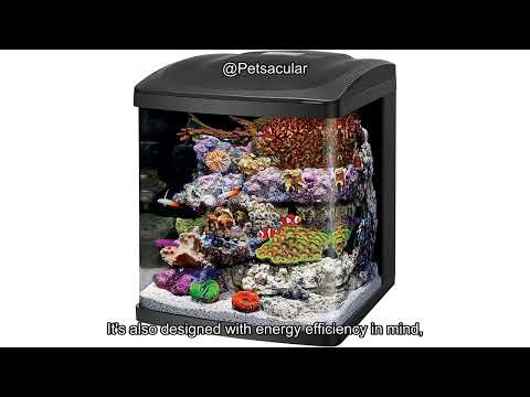 Coralife LED BioCube 16 Gallon Aquarium Kit Review: Is It Worth the Investment?