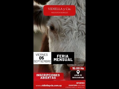 05/09/2025   Feria mensual - Vidiella y Cia /  Local 33 en la calera - Treinta y Tres