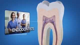 preview picture of video 'Root Canal Treatments | Coastal Endodontics Richmond Hill, GA'