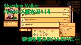 【スタバレ】#14 装備がショボいまま洞窟探検…【入眠実況】