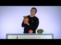 Marionnettes Animaux Dans Fruits Folkmanis LMM 113 Le Monde De La Marionnette