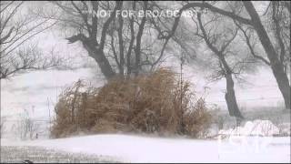 preview picture of video '1-8-15 Iowa Heavy Snow'