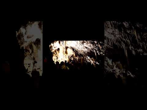 Amazing Postojna Cave @vivianschanz4500