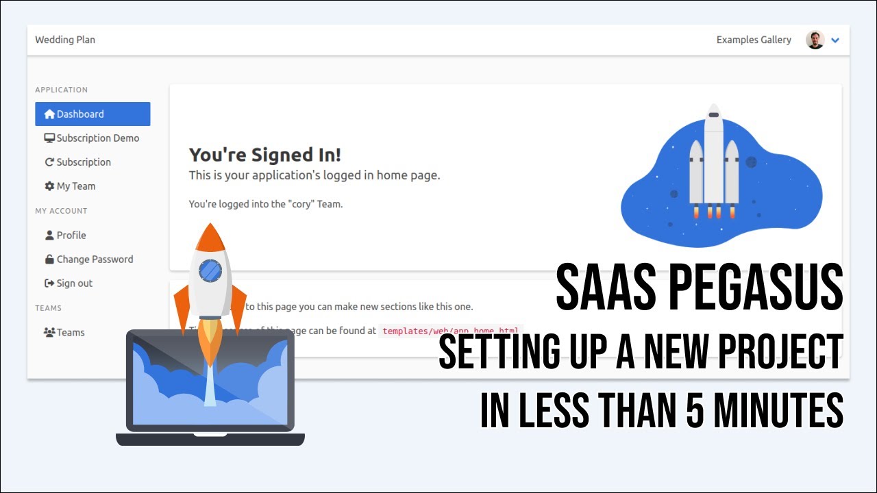 SaaS Pegasus demo video