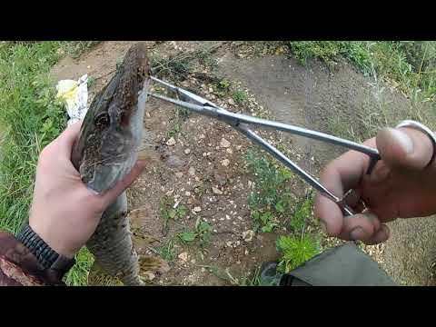 Рыбалка на Клязьме в районе Покрова.