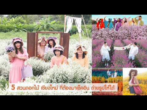5 สวนดอกไม้ เชียงใหม่ ที่ต้องมาเช็คอิน ถ่ายรูปให้ได้