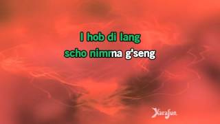 Karaoke Lang scho nimmer g&#39;sehn - Haindling *