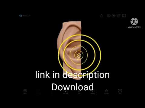 Human Anatomy atlas 2021