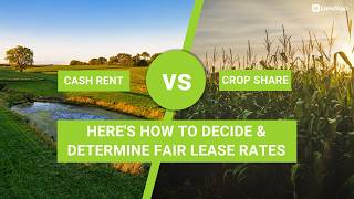Cash Rent or Crop Share Farmland Lease? Here's How to Decide and Determine What to Charge