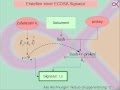 Digitale Signatur Mit Elliptischen Kurven ECDSA
