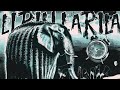 HIMXN LIRILI LARILA FUNK Official Music