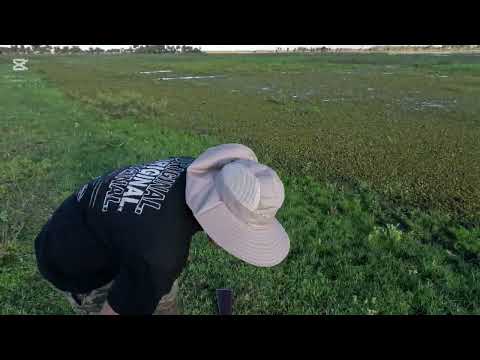 "Rifle Foster F290 9 MM y Carabina: La Épica Caza del Carpincho en Corrientes" 