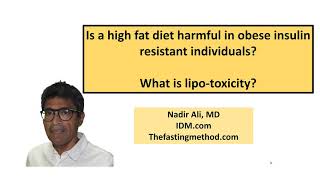 Is fat intake harmful in obesity? What is lipo-toxicity? What is a ceramide? Is it toxic?