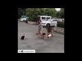 Tony Baker Compilation Part 1