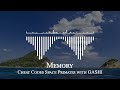 Cheat Codes Space Primates with GASHI - Memory