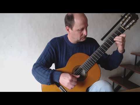 El Tulumbano (gato) P. del Cerro Interp. Jorge Picchio
