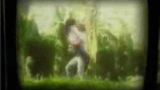 Carlos Baute - Me quiero casar con tigo.avi