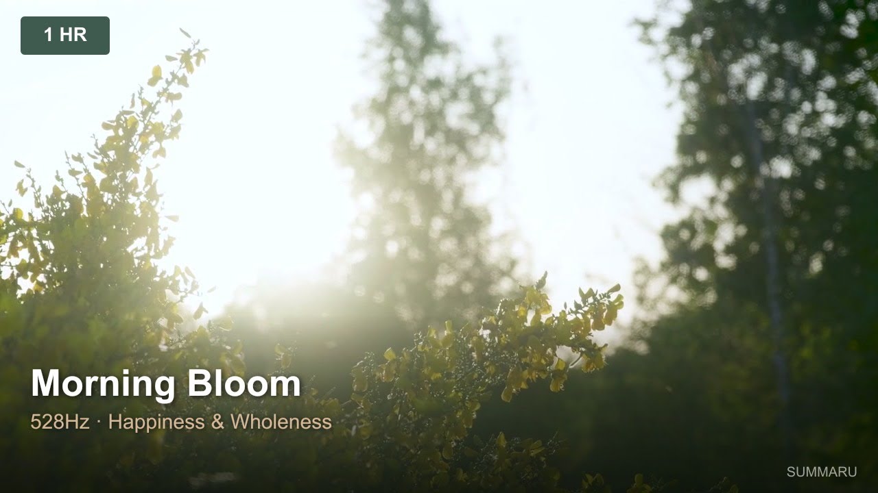 Morning Bloom | 1 Hour Healing Music | 528Hz Gentle Happiness