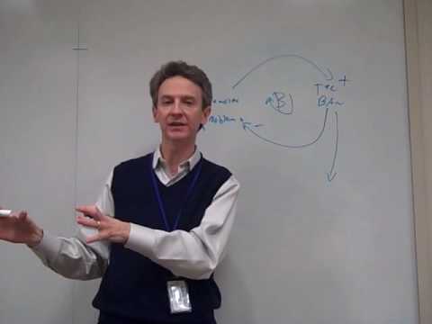 Introduction to System Dynamics #3: Fixes that Fail