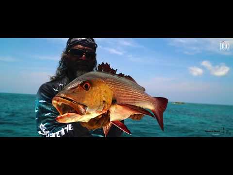 Andaman`s Rough Trail: Aomasa Chapter