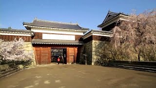 preview picture of video '長野県　上田城の桜 [HD]'