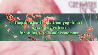 Talking In My Sleep (KARAOKE / BACKING TRACK) Performed BY: Christopher Cross