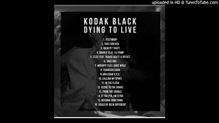 Kodak Black - This Forever Slowed Down #slowkey