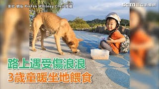 路上遇受傷浪浪　3歲童暖坐地餵食