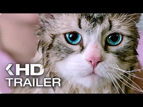 Trailer-Vorschau: Voll verkatert