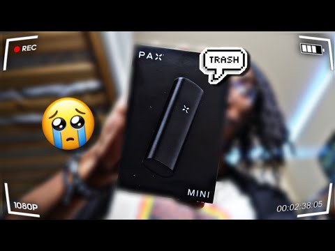 I Tried The Pax Mini… and Instantly Regretted It