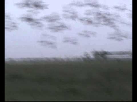 CENAD 2 E CARAS SEVERIN